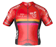 Wheel Divas Cycling Team (német)