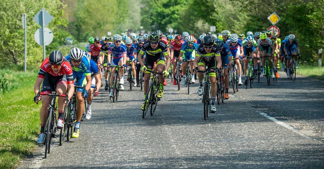 2016-os versenyévad