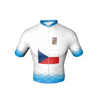 A Visegrádi Csoport cseh trikója