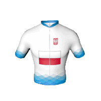 A Visegrádi Csoport lengyel trikója