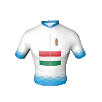 A Visegrádi Csoport magyar trikója